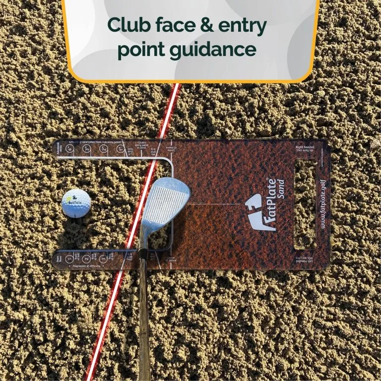 FatPlate Sand 4 FatPlate Sand - Image 2