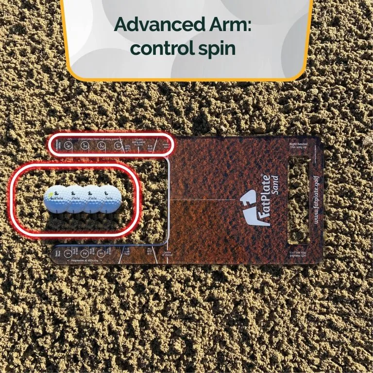 FatPlate Sand 6 FatPlate Sand - Image 4