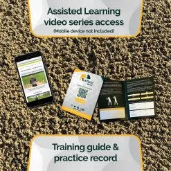 FatPlate Sand 15 FatPlate Sand -All Wedges Shop fatplate sand 5