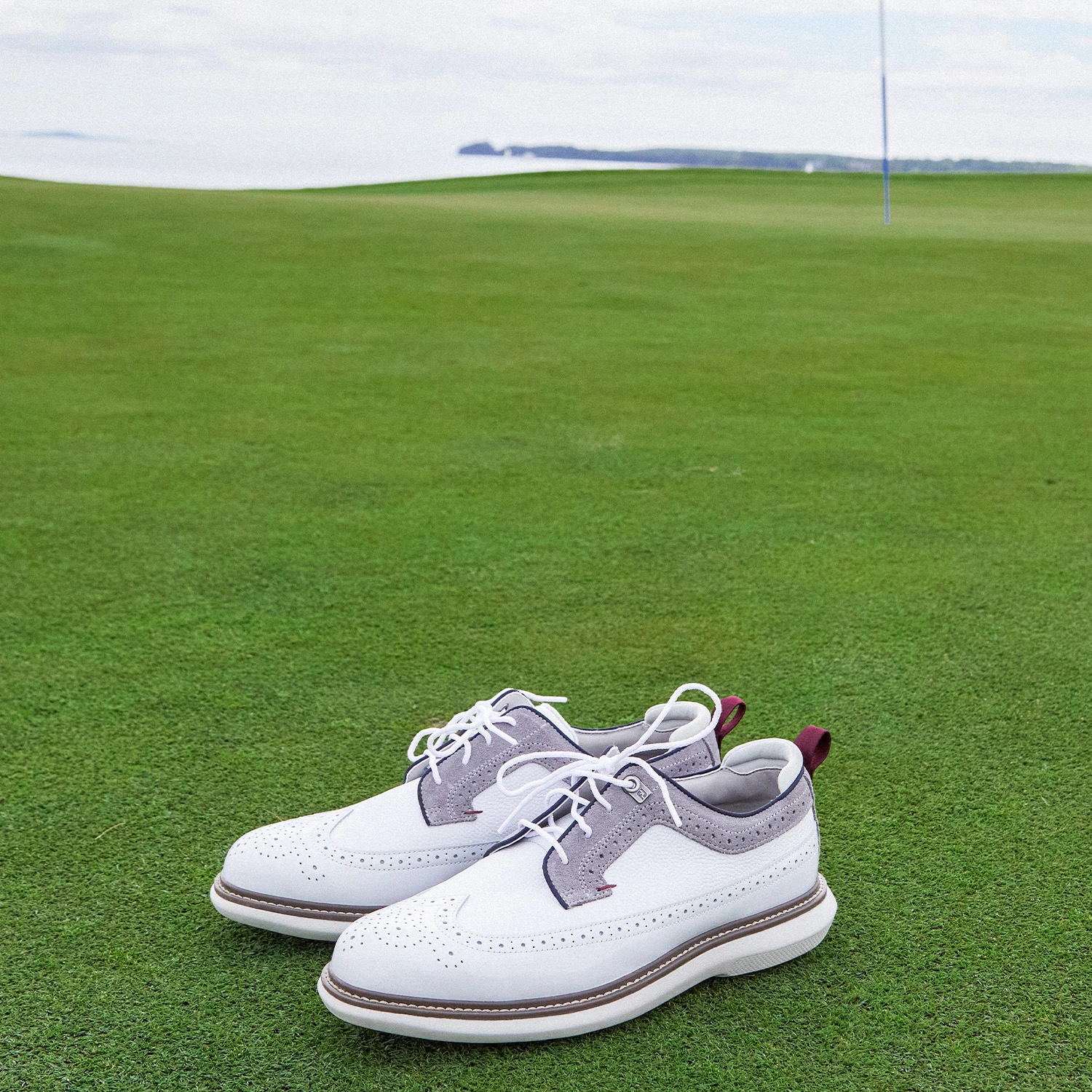 FootJoy X Todd Snyder LE Traditions Wing Tip Golf Shoes 15 FootJoy X Todd Snyder LE Traditions Wing Tip Golf Shoes - Image 13